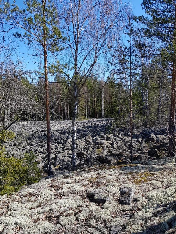 Lehmirannan Lomakeskus Hotel Salo  Buitenkant foto